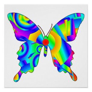 Summer Butterfly Glossy Poster