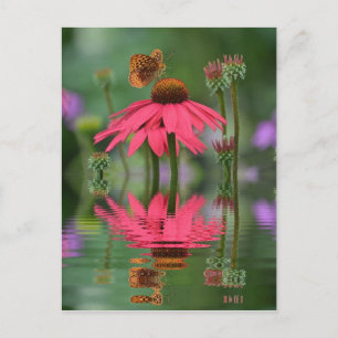 Summer Butterfly Reflections Postcard