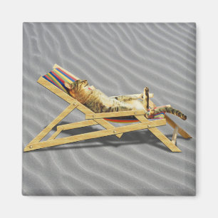 Summer Cat Nap in Beach Chair with Shadow Magnet