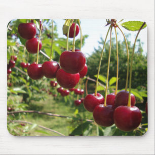 Summer Cherries Mouse Pad