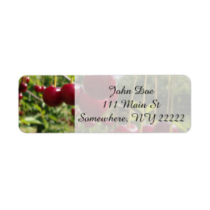 Summer Cherries Return Address Label