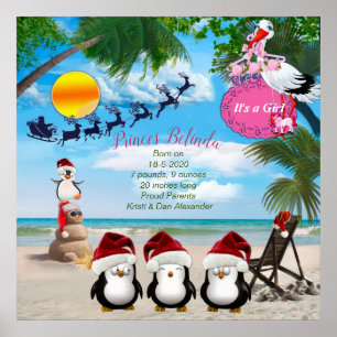 Summer Christmas Baby Shower Poster