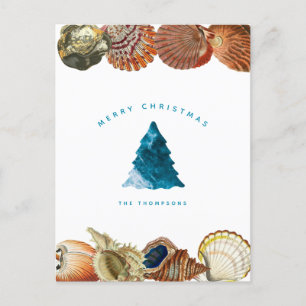 Summer Christmas Beach Seashell Custom Name Holiday Postcard