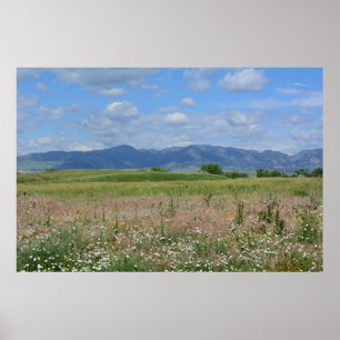 Summer Colorado landscape Poster