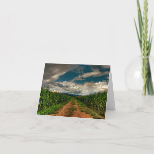 Summer Cornfield Blank Notecard