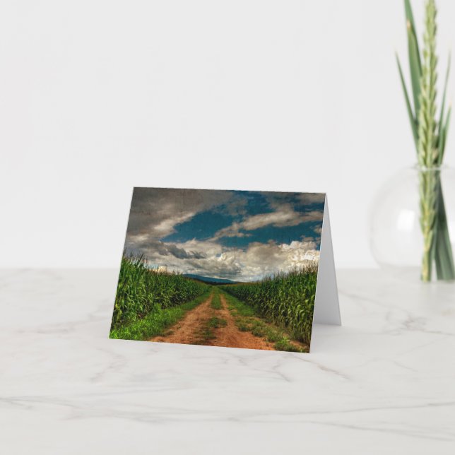 Summer Cornfield Blank Notecard (Front)