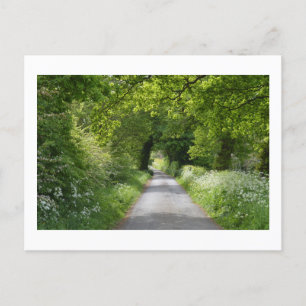 Summer Country Road: Cheshire Postcard