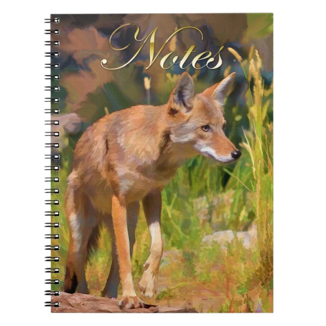 Summer Coyote Wildlife Painting Notebook (Front)