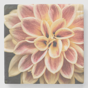 Summer Dahlia Flower (Floral Art) Stone Coaster