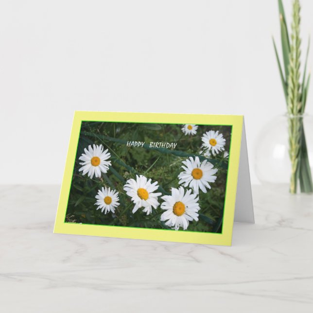 Summer Daisies Birthday Card (Front)