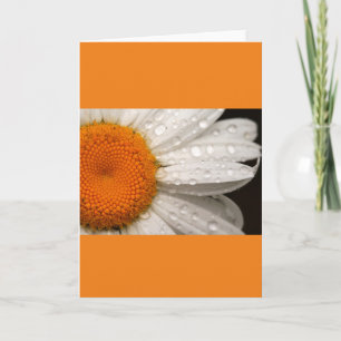 Summer Daisy Folded Blank Greeting Card