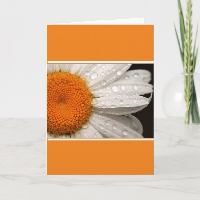 Summer Daisy Folded Blank Greeting Card (Front)