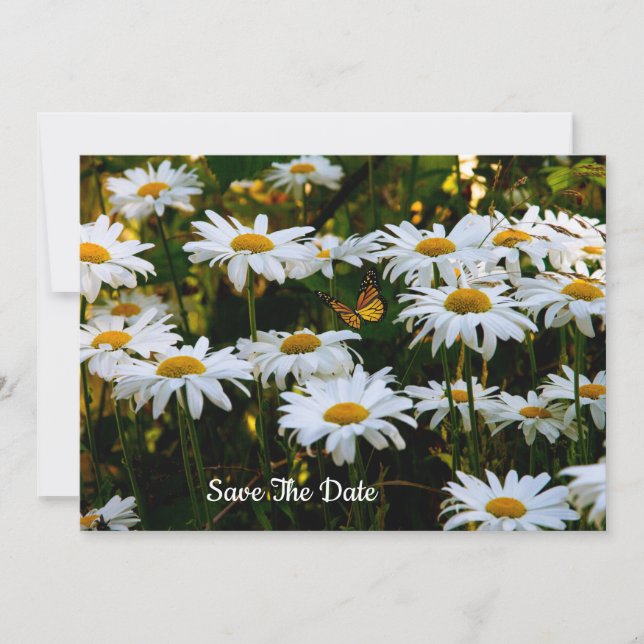 Summer Daisy Save The Date Invitation (Front)