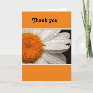 Summer Daisy Thank You Blank Greeting Card