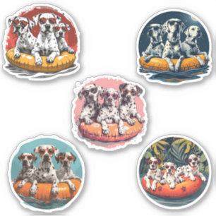 Summer Dalmatian Dogs In Pool Floaties