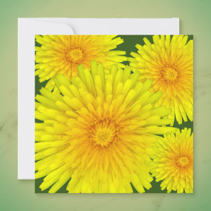 Summer Dandelion Card