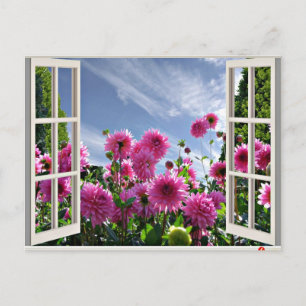 Summer Day, Dahlias in Bloom Postcard