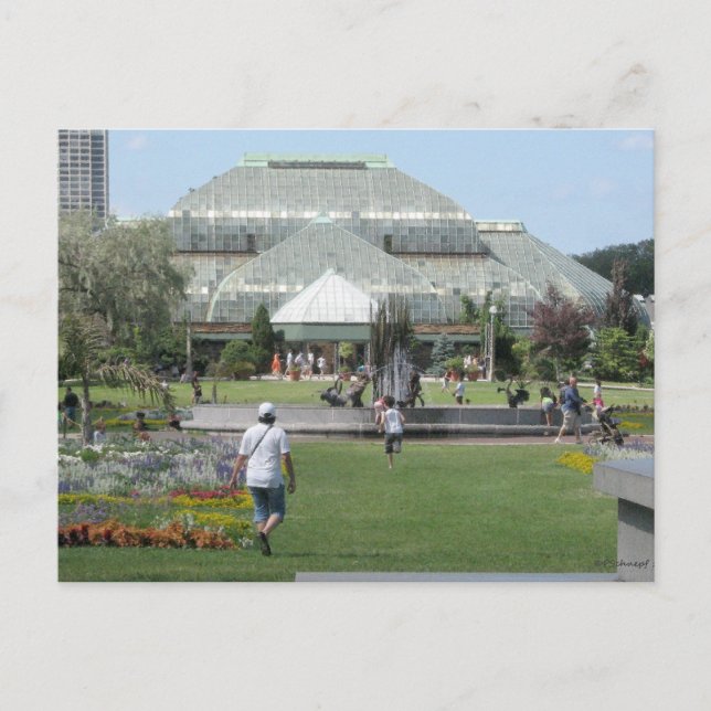 Summer Day in Chicago Postcard (Front)