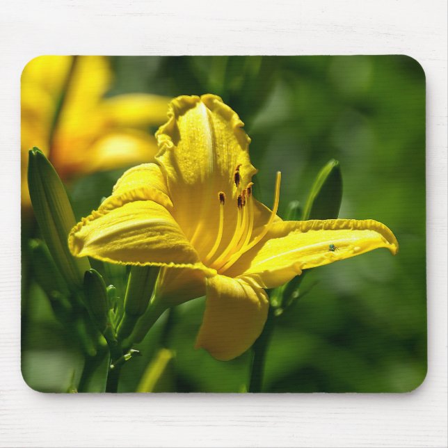 Summer Day Mouse Pad (Front)