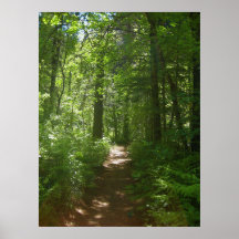 Summer Days (6) Poster