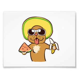 Summer Dog holding fruits choose background colo Photo Print