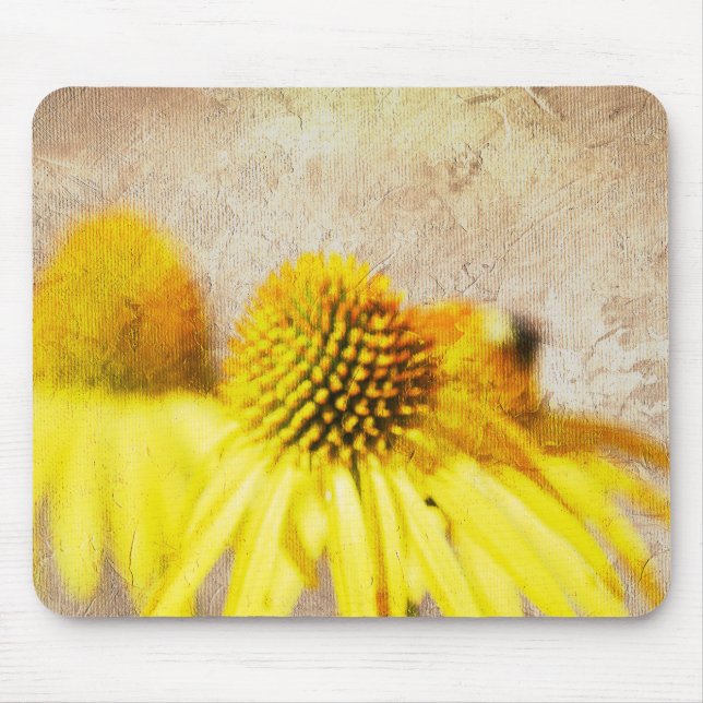 Summer Echinacea Flowers Mouse Pad (Front)