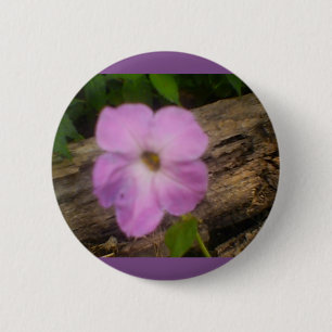 Summer Favourites 6 Cm Round Badge