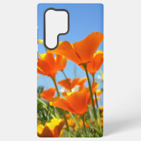 Summer feeling of wild orange flowers.