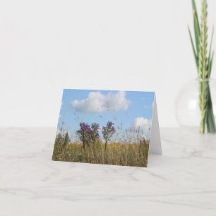 Summer Field in the Countryside  Holiday Card