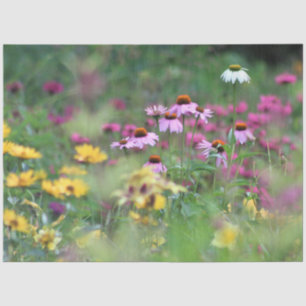 Summer Field of Coneflowers Tissue Paper