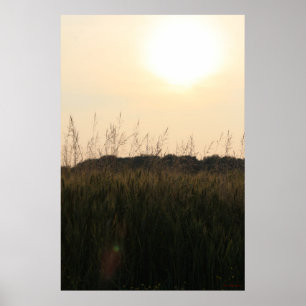 Summer Field Poster