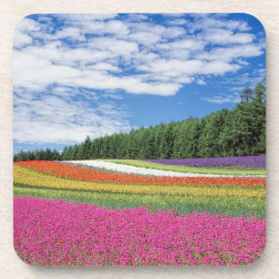 Summer Field Rows of Flowers Coaster