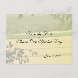 Summer Fields Save the Date Postcard