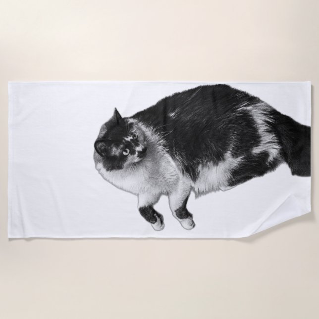 Summer Flip Cat Beach Towel (Front)