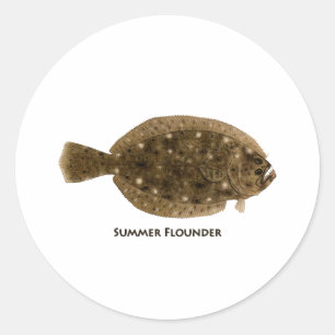 Summer Flounder Classic Round Sticker