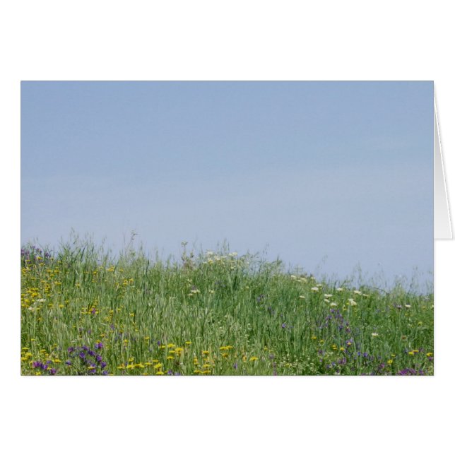 Summer Flower Meadow Card (Front Horizontal)