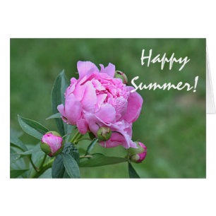 Summer flower photo