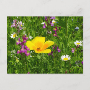 Summer Flowers DIY Postcard