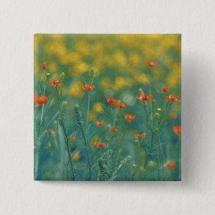 Summer Flowers (Floral Field) (Red Flowers) 15 Cm Square Badge