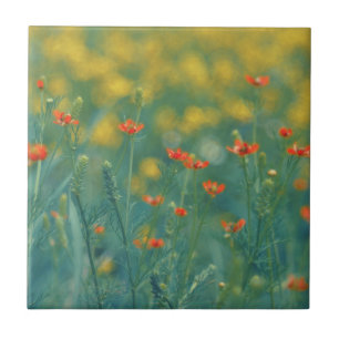 Summer Flowers (Floral Field) (Red Flowers) Ceramic Tile