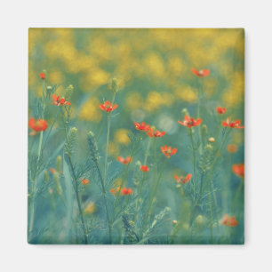 Summer Flowers (Floral Field) (Red Flowers) Magnet