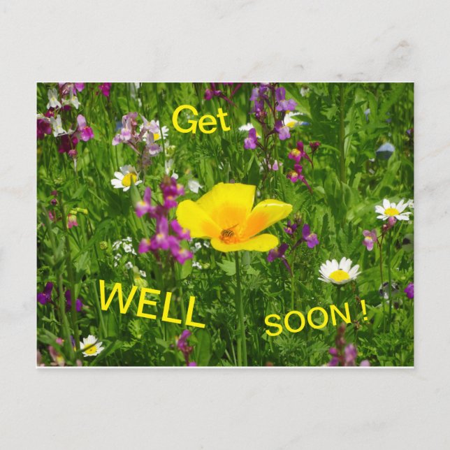 Summer Flowers Get Well Soon Postcard (Front)
