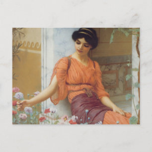 Summer Flowers Postcard