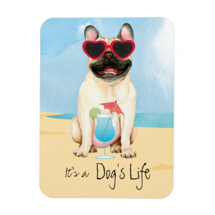 Summer French Bulldog Magnet