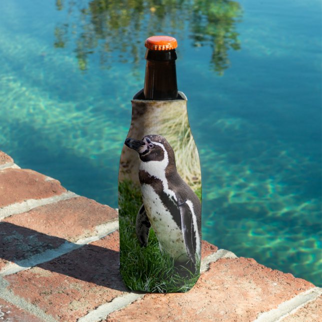 summer fun bottle cooler (In Situ Pool)