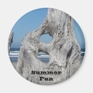 Summer Fun magnets Beach waves Blue Sky Driftwood