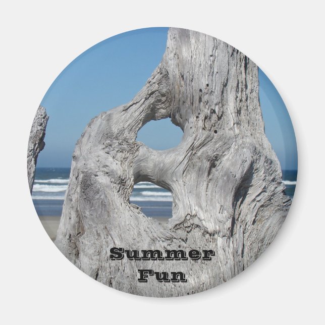 Summer Fun magnets Beach waves Blue Sky Driftwood (Front)