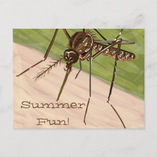 "Summer Fun!" Mosquito Art Postcard
