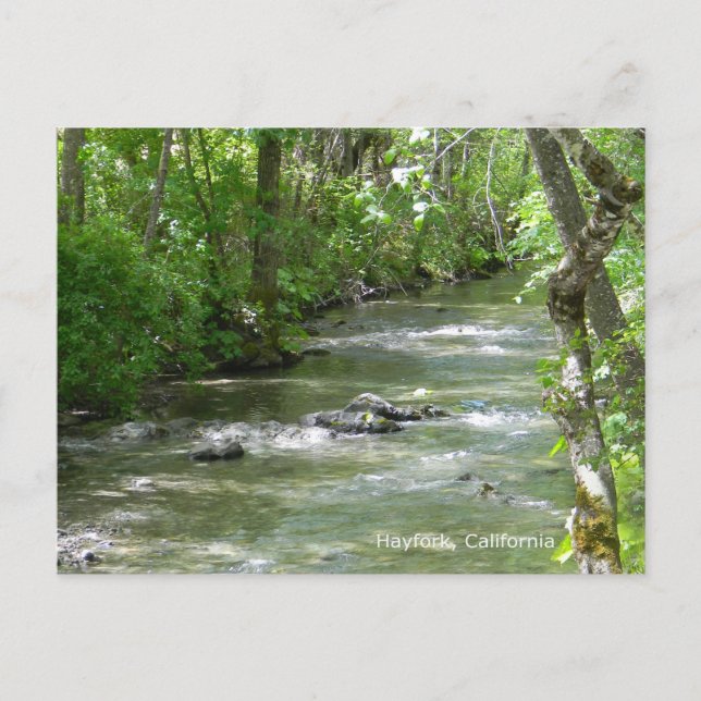 Summer Fun... Postcard (Front)