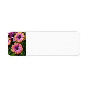 Summer Garden address labels